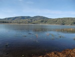 cimg0129.jpg